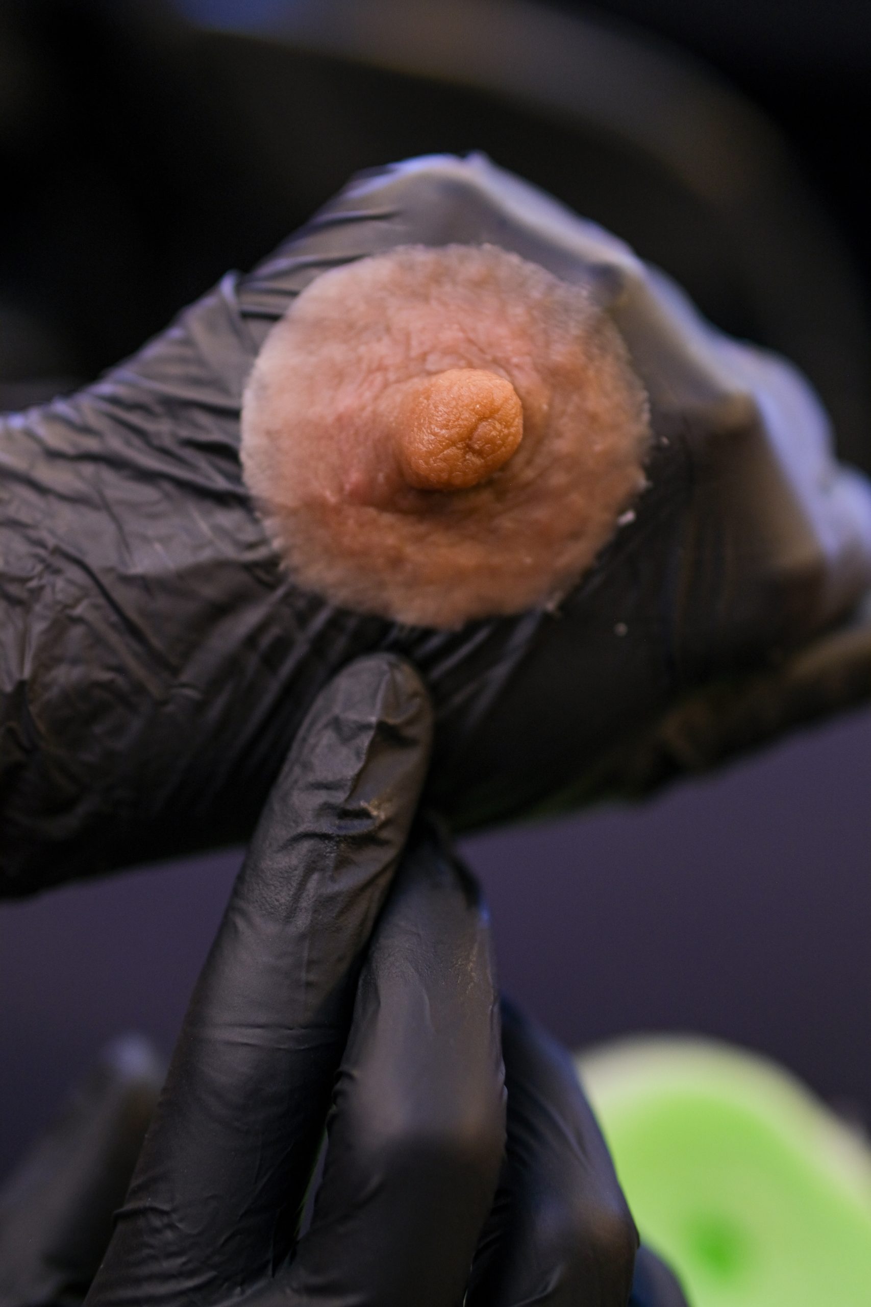 b97ef55ec73458e797acc309f6fd810b59592ac6